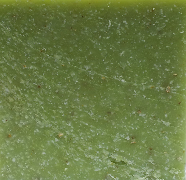 Eucalyptus & Sea Salt Olive & Shea Exfoliating Soap